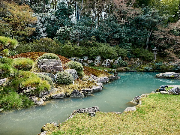 Der Teich Ryujin im Shoren-in-Tempel in Kyoto