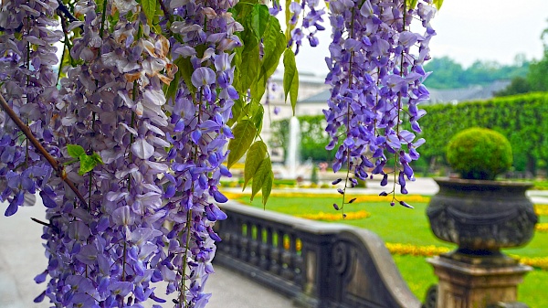 Mirabellgarten in Salzburg