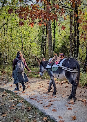 Eselwanderung mit Astotrek in Navarra (Spanien)