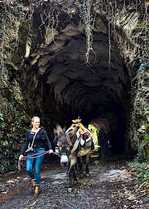 Eselwanderung mit Astotrek in Navarra (Spanien)