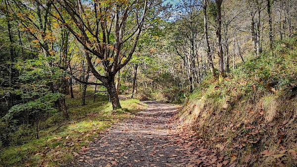 Eselwanderung mit Astotrek in Navarra (Spanien)