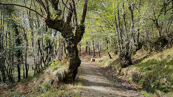 Eselwanderung mit Astotrek in Navarra (Spanien)