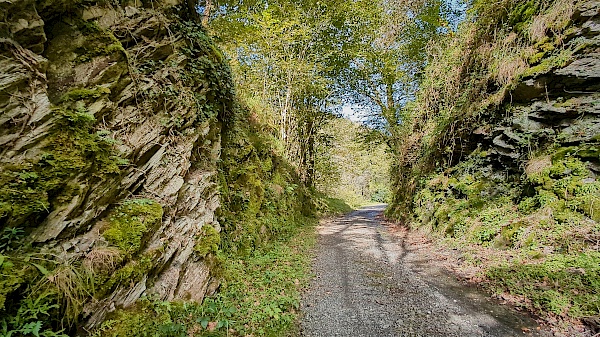 Landschaft auf der Eselwanderung mit Astotrek in Navarra (Spanien)