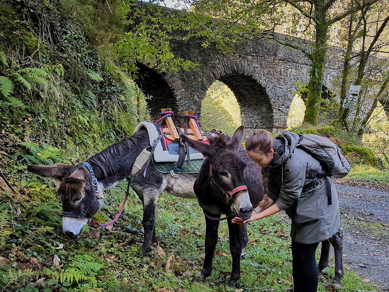 Eselwanderung mit Astotrek in Navarra (Spanien)