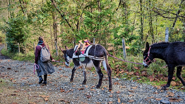 Eselwanderung mit Astotrek in Navarra (Spanien)