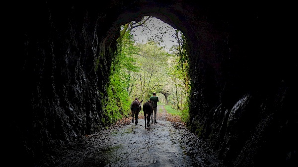 Eselwanderung durch einen Tunnel mit Astotrek in Navarra (Spanien)