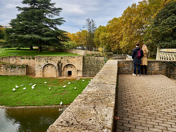 Blick auf die Gänse in den Taconera-Gärten in Pamplona (Navarra / Spanien)