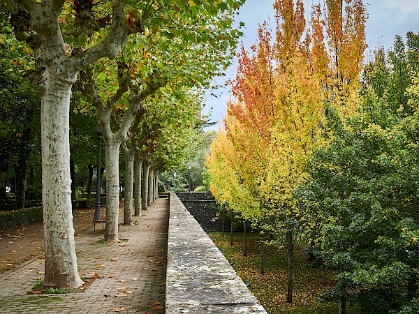 Die Taconera-Gärten in Pamplona (Navarra / Spanien)