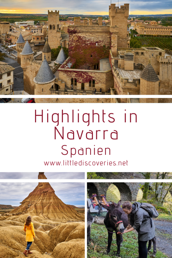 Highlights in Navarra