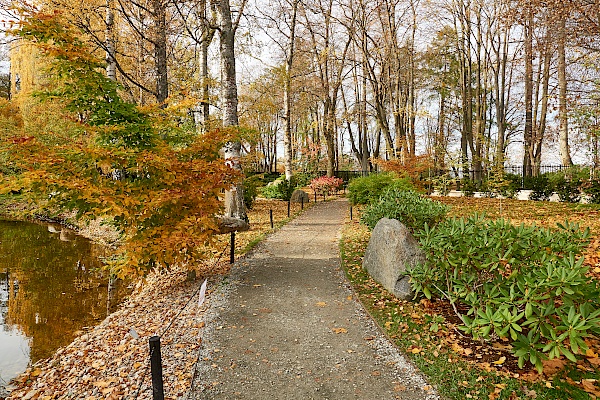 Herbstlicher Weg im Japanischen Garten in Tallinn