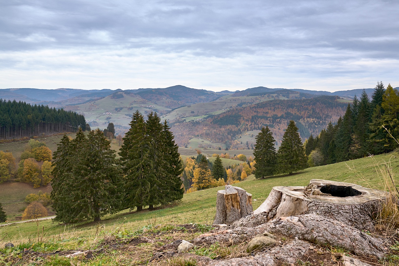 Panoramatour um die Blauener Ebene im Schwarzwald