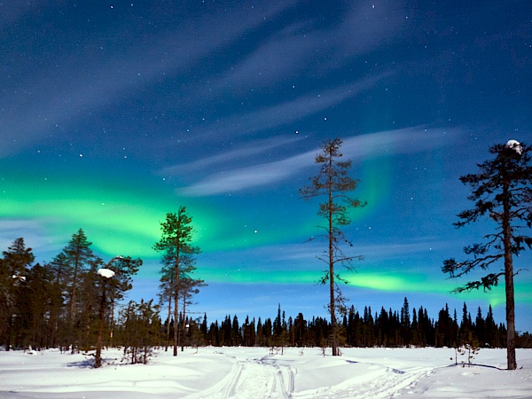 Nordlichter in Finnland #2