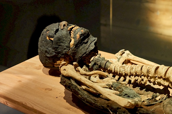 Mumie im Roemer- und Pelizaeus-Museum