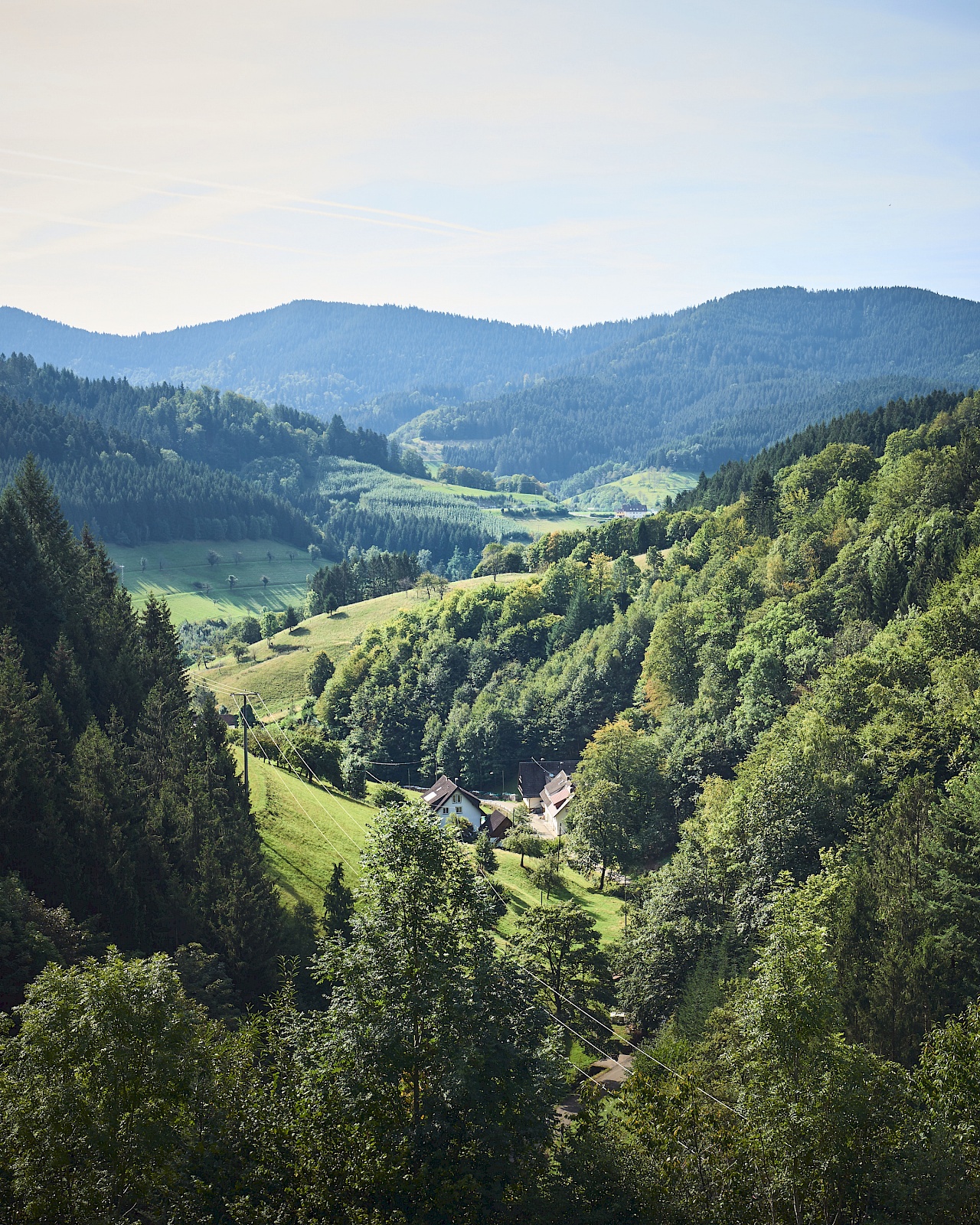 Bad Peterstal Griesbach - Schwarzwaldsteig