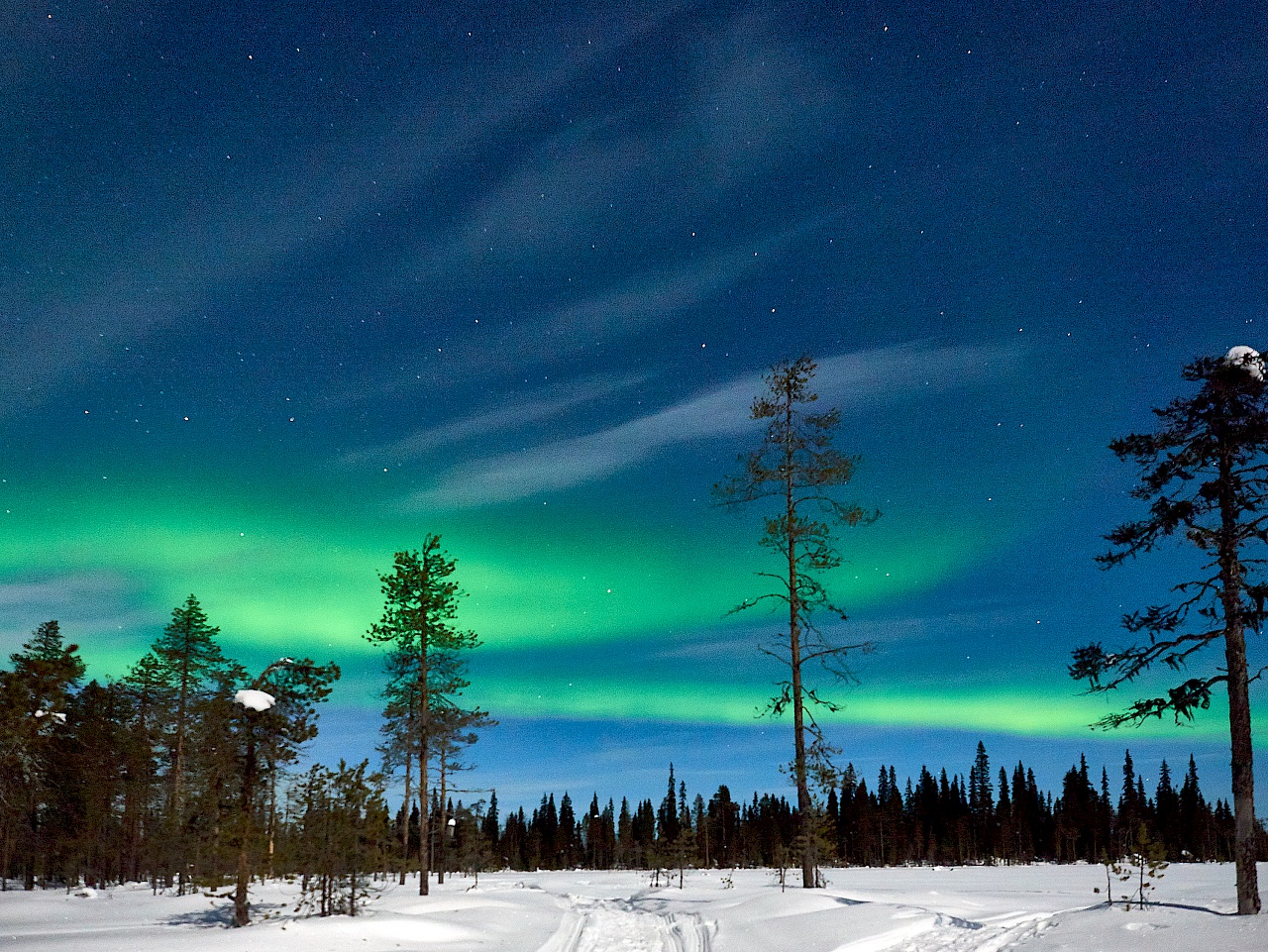 Nordlichter in finnisch Lappland im Winter