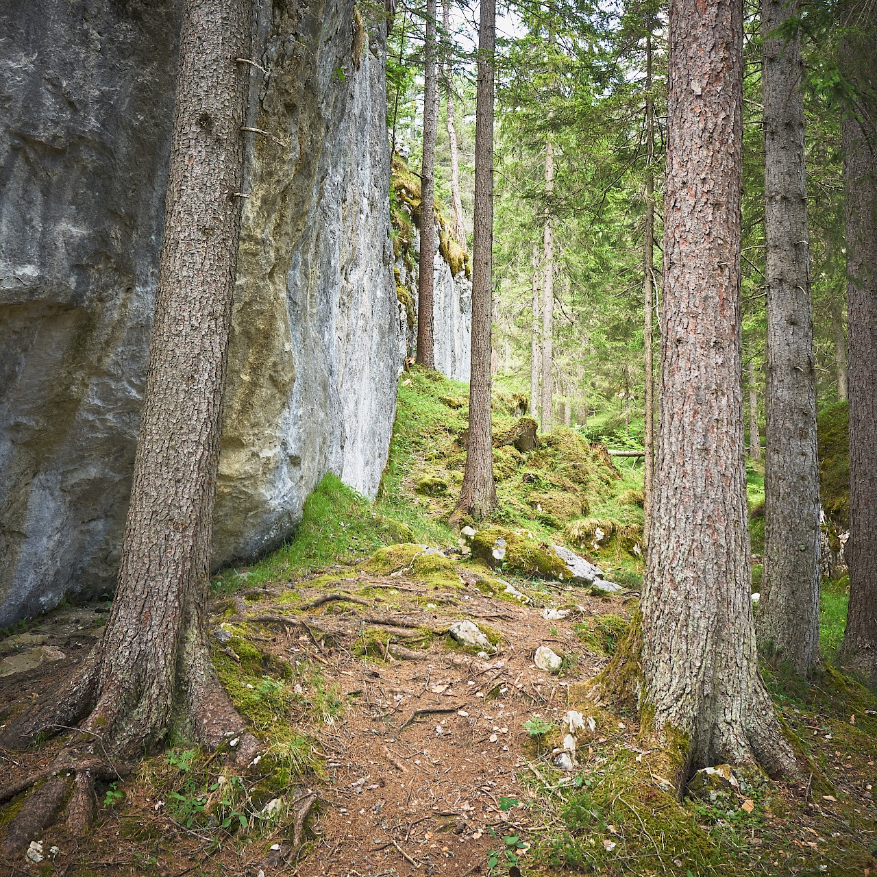 Bouldern und Klettern im Reithle Klettergarten Imst - Versteckte Blöcke im Wald