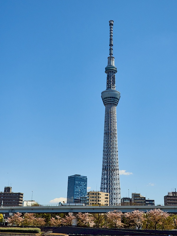 Blick auf den Tokyo Sky Tree vom Sumida Park
