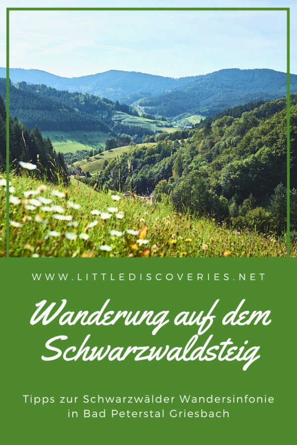 Pin für Wanderung auf dem Schwarzwaldsteig auf Pinterest