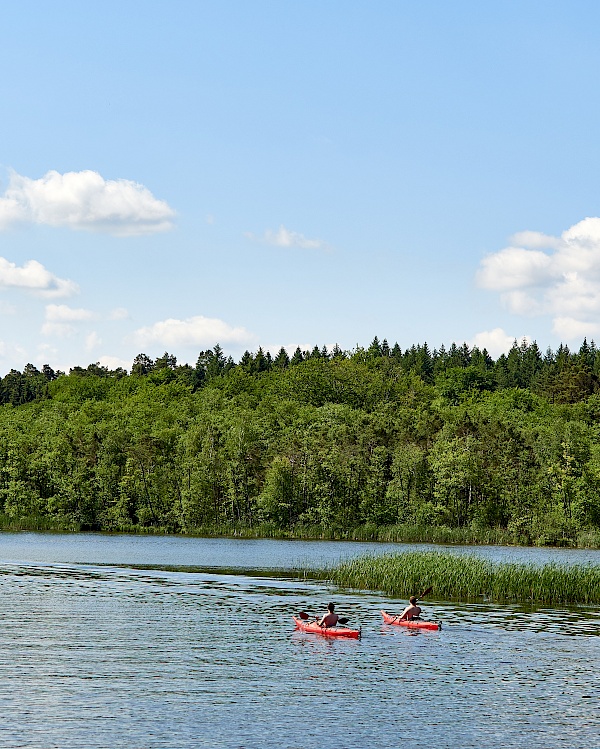 Kanu fahren auf der Mecklenburgischen Seenplatte