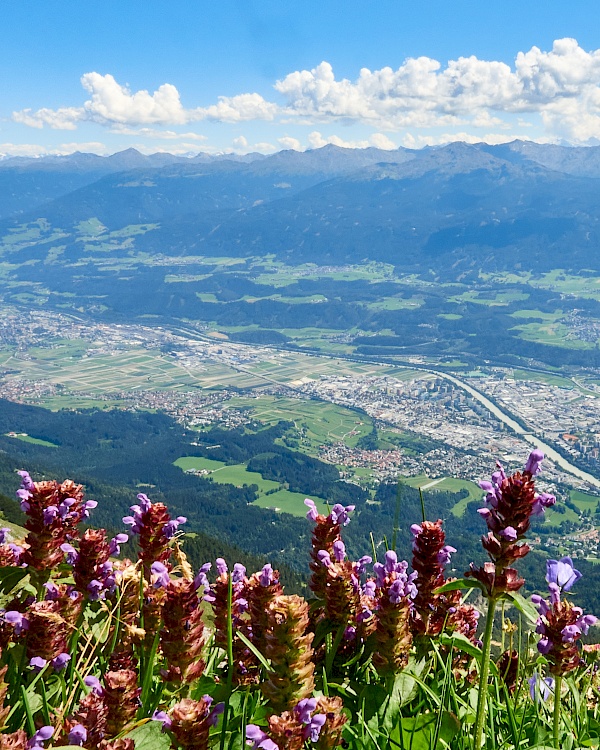 Blick auf Innsbruck vom Goetheweg