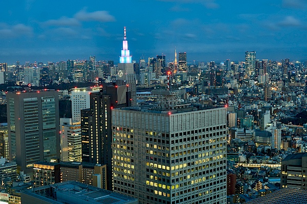 Aussicht vom Tokyo Metropolitan Government Building (Japan)