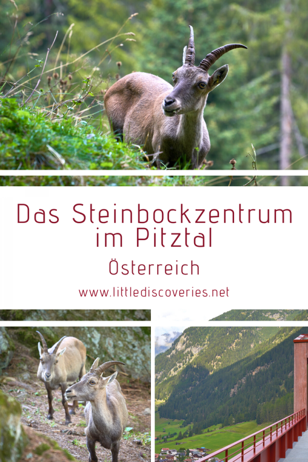 Pin für Pinterest - Das Steinbockzentrum im Pitztal (Österreich)
