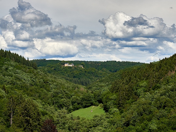 Blick auf Schloss Schöneck