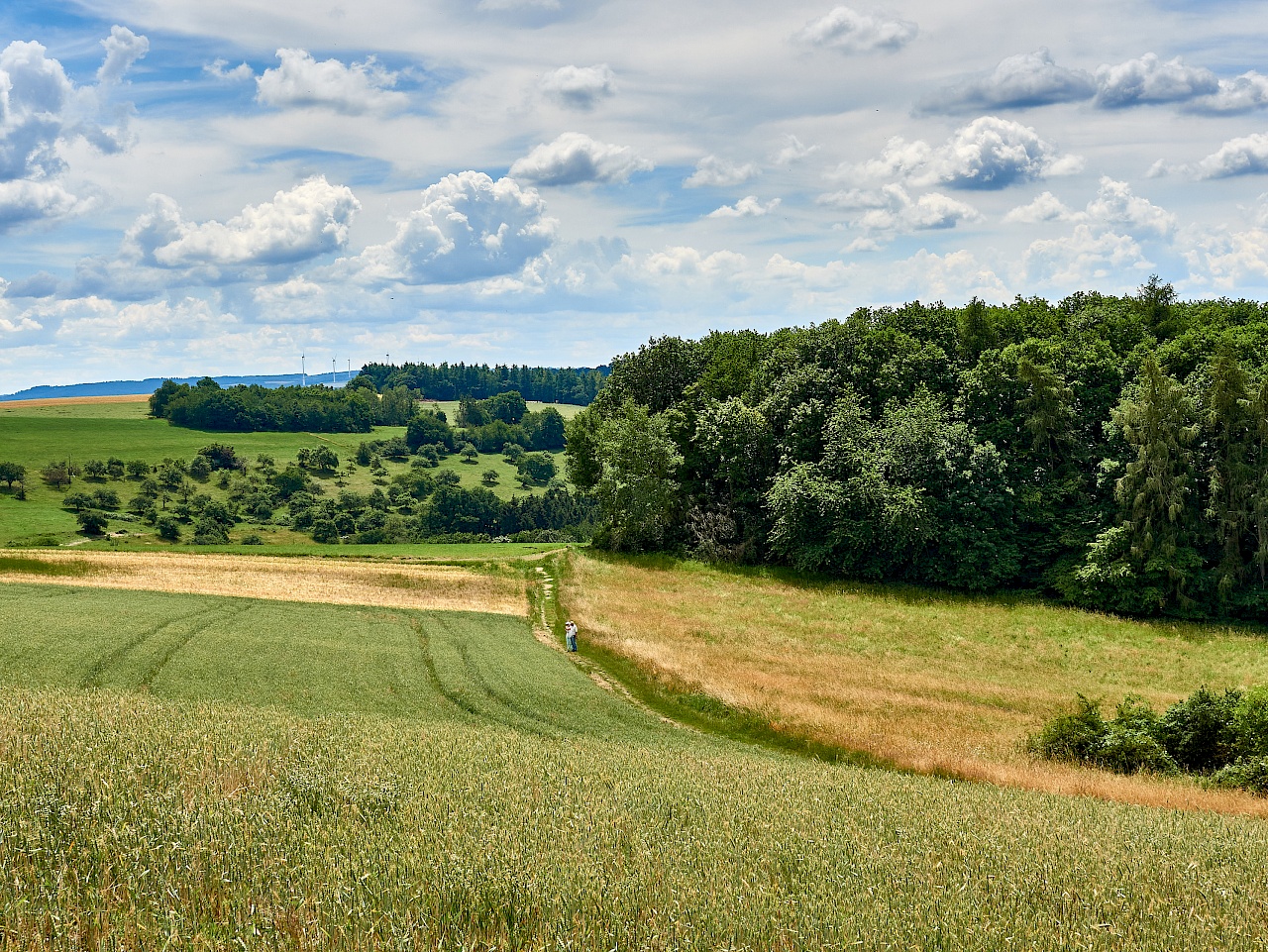 Weite Felder und Hunsrücklandschaft auf dem Mittelalterpfad