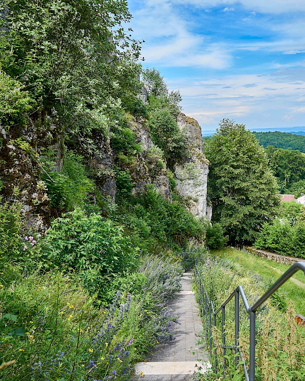 Weg zur Burg Hohenstein