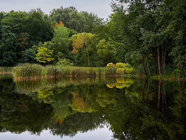 Voigtsdorfer Teich nahe Parchim in Mecklenburg