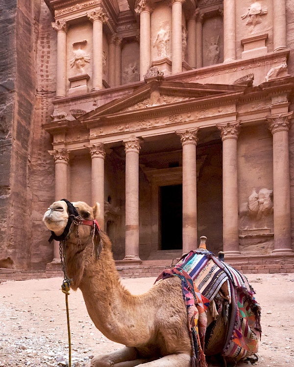 Kamel vor dem Schatzhaus in der Felsenstadt Petra in Jordanien nach der Wanderung durch die Schlucht