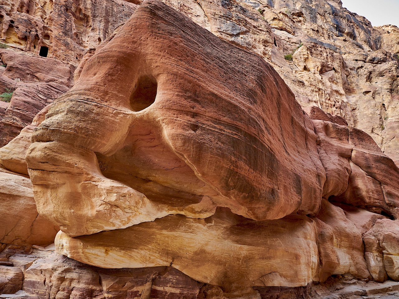 Welches Wesen siehst du in diesem Stein in der Schlucht von Petra (Jordanien)?