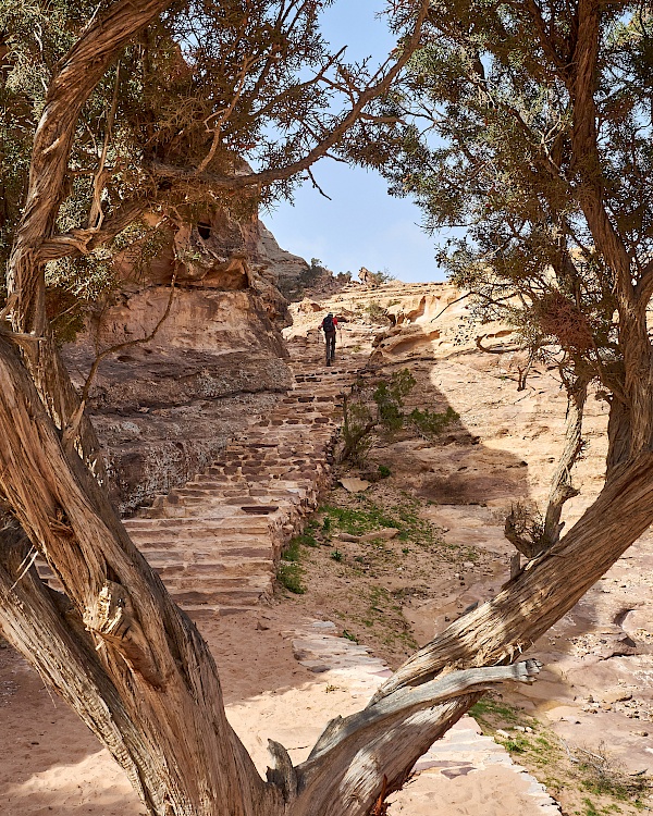Weg auf dem Hintereingang nach Petra (Jordanien)