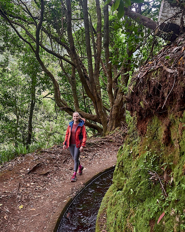 Wanderung entlang der Levada do Rei (Madeira)