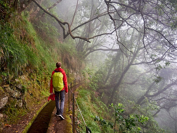 Wanderung auf der Levada do Rei (Madeira)