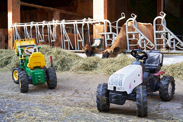 Kühe auf dem Schnagererhof und Traktoren für die kleinen Besucher