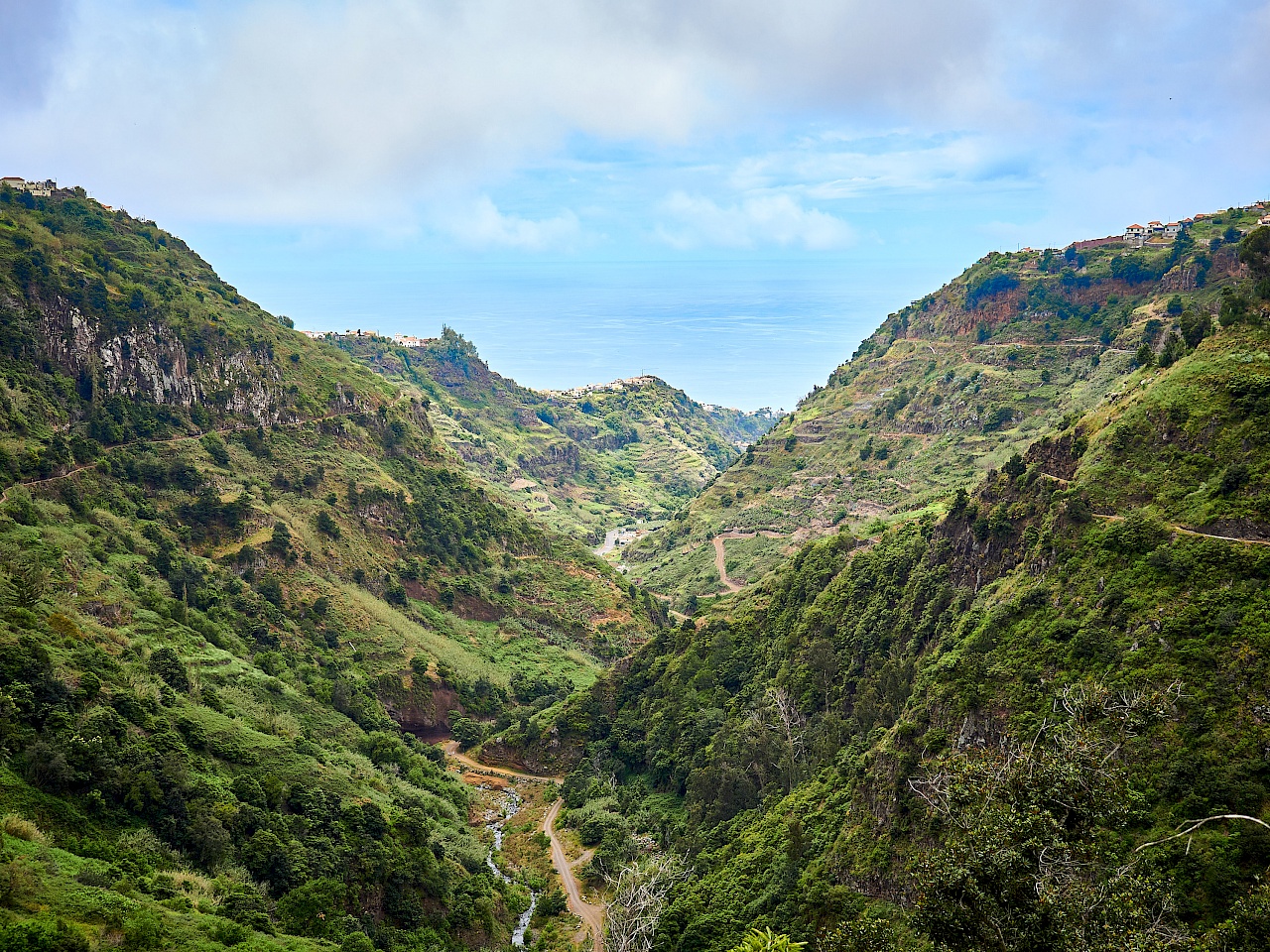 Aussicht von der Levada Nova auf Madeira