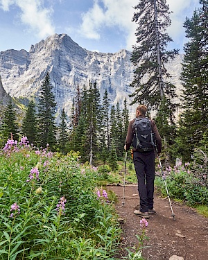 Wanderung vom Rawson Lake zur Sarrail Ridge in Kanada