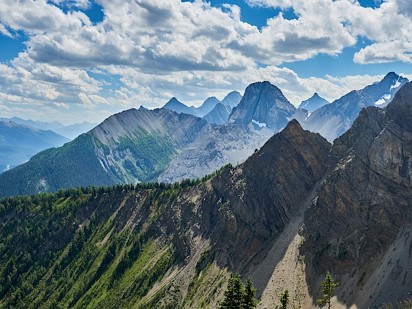 Wanderung Tent Ridge Horseshoe in Kananaskis Country