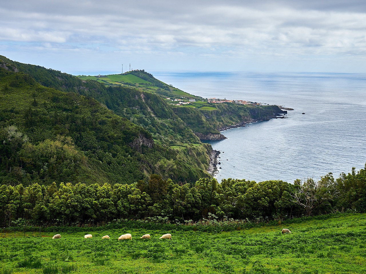 Miradouro da Caveira auf Flores (Azoren)