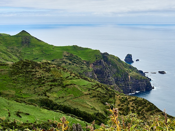 Miradouro Rocha dos bordões auf Flores (Azoren)