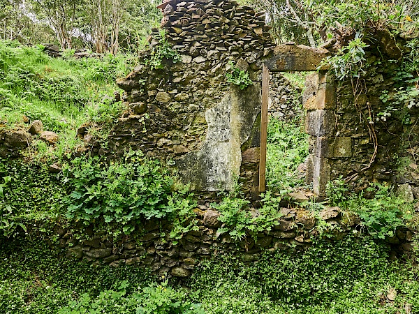 Caldeira do Mosteiro auf Flores (Azoren)