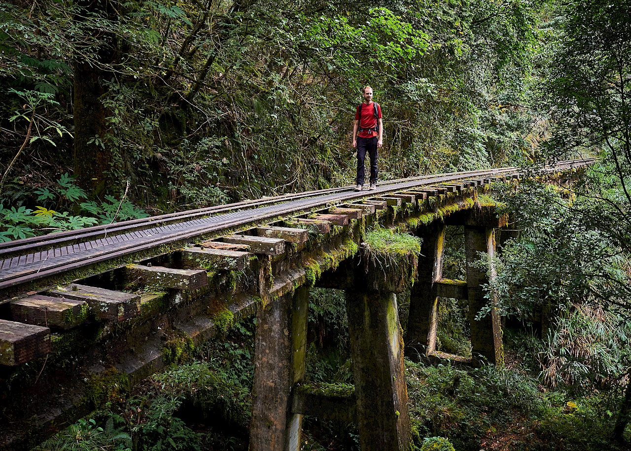 Mianyue Wanderung in Alishan (Taiwan)