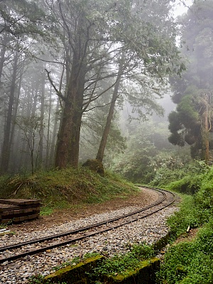 Mianyue Wanderung in Alishan (Taiwan)