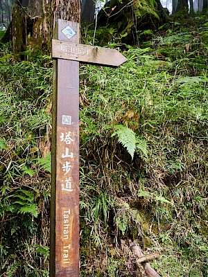 Mianyue Wanderung in Alishan (Taiwan)