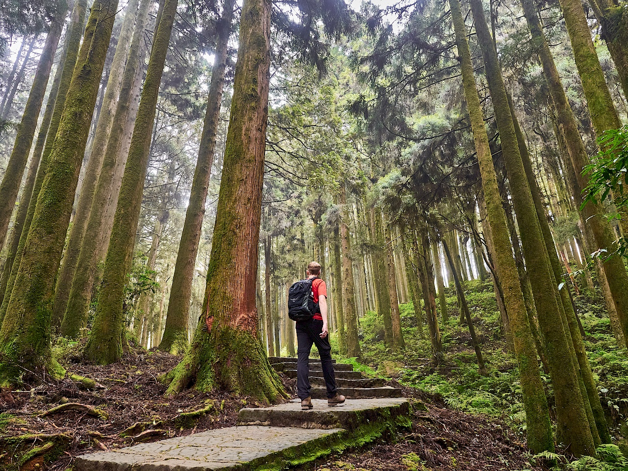 Mianyue Wanderung in Alishan (Taiwan)