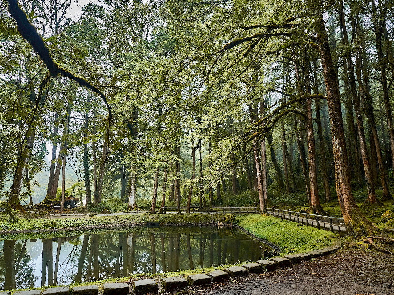 Sisters Pond in Alishan (Taiwan)