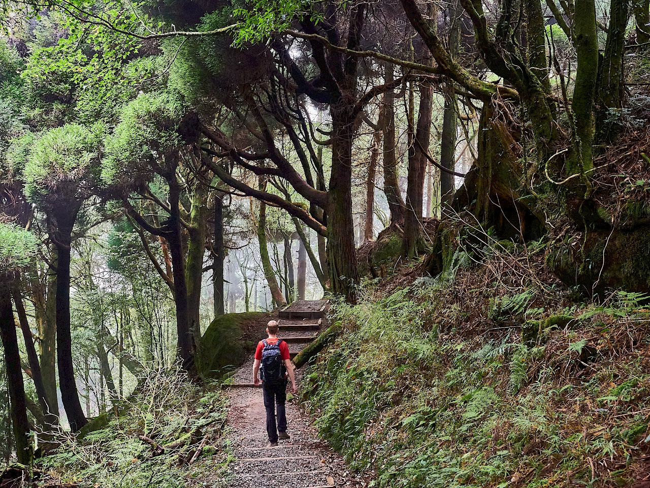 Mianyue Wanderung in Alishan (Taiwan)