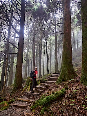 Mianyue Wanderung in Alishan (Taiwan)