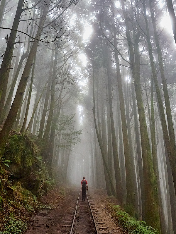 Mianyue Wanderung in Alishan (Taiwan)